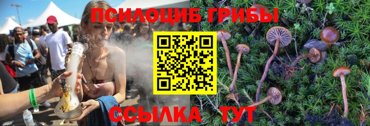 Галлюциногенные грибы ЛСД Старая Купавна